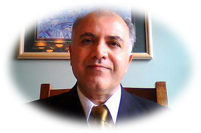 Hamadanchi Chiropractic Clinic in St Joseph, Michigan